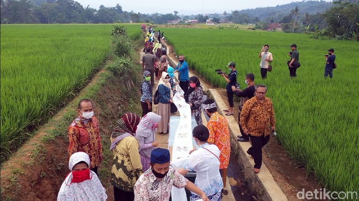 Memperingati hari batik nasional sejumlah warga di Desa Agro Eduwisata Parungseah, Kabupaten Sukabumi membatik massal dan membentangkannya di area pesawahan.