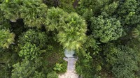 Fervedouro adalah kolam air hangat di tengah Taman Nasional Jalapao, Brasil. (Getty Images/iStockphoto)