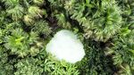Istimewa Banget! Kolam Air Hangat di Tengah Hutan
