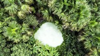 Kolam ini diameternya hanya 8 meter namun begitu dicari oleh wisatawan. (Getty Images/iStockphoto)