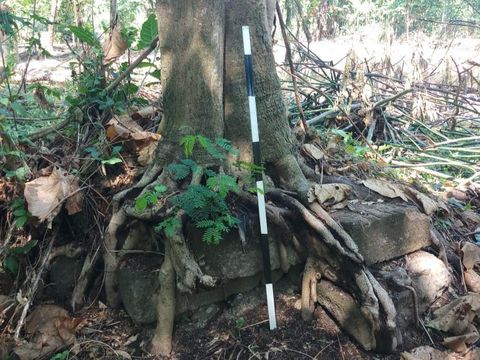 Tim BPCB Jateng mengecek temuan batu diduga candi di Desa Mranggen Jatinom, Klaten, Jumat (2/10/2020). Selain batu besar diduga candi, ada pula Yoni dan dorpel pintu candi.