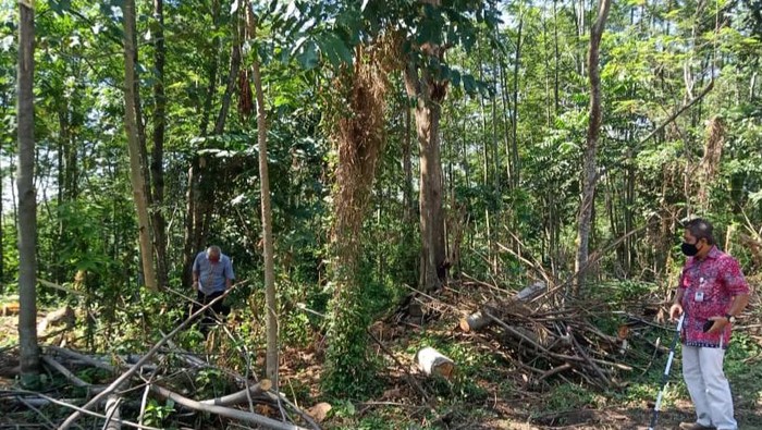Tim BPCB Jateng mengecek temuan batu diduga candi di Desa Mranggen Jatinom, Klaten, Jumat (2/10/2020). Selain batu besar diduga candi, ada pula Yoni dan dorpel pintu candi.