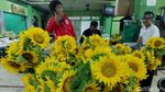 Wangi Pasar Bunga Rawa Belong yang Kian Lesu