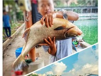 7 Rekomendasi Pemancingan Resto di Jabodetabek