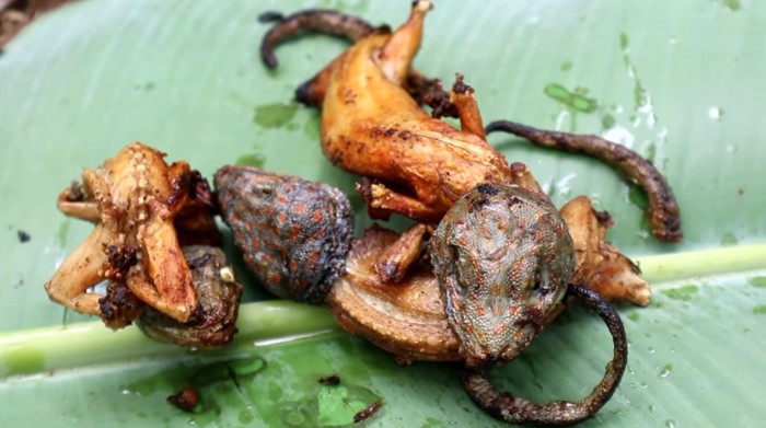 Wow! YouTuber Ini Mukbang Tokek di Tengah Hutan untuk Obati Gatal