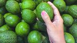 Kamu Sudah Tahu? 15 Makanan Ini Tak Perlu Disimpan di Kulkas Lho!