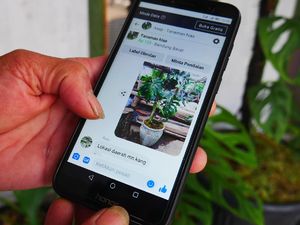 Modal Medsos, Raup Duit Jutaan dari Si Janda Bolong
