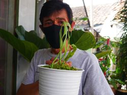 Aneka Peluang Usaha Berkebun Dibantu Teknologi Digital