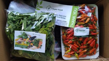 Ahmad Khoirudin adalah petani di Dusun Koripan, Desa Banggle, Kecamatan Kanigoro, Blitar. Dia mengembangkan usaha jualan sayur online Super Fresh yang dikemas dalam kardus rapi langsung ke pembeli (Erliana Riady/detikcom)