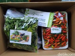 Aneka Peluang Usaha Berkebun Dibantu Teknologi Digital