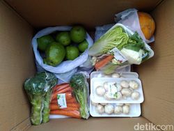 Aneka Peluang Usaha Berkebun Dibantu Teknologi Digital