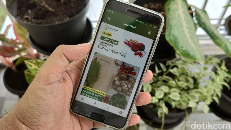 Jualan Online Sayur - Blitar