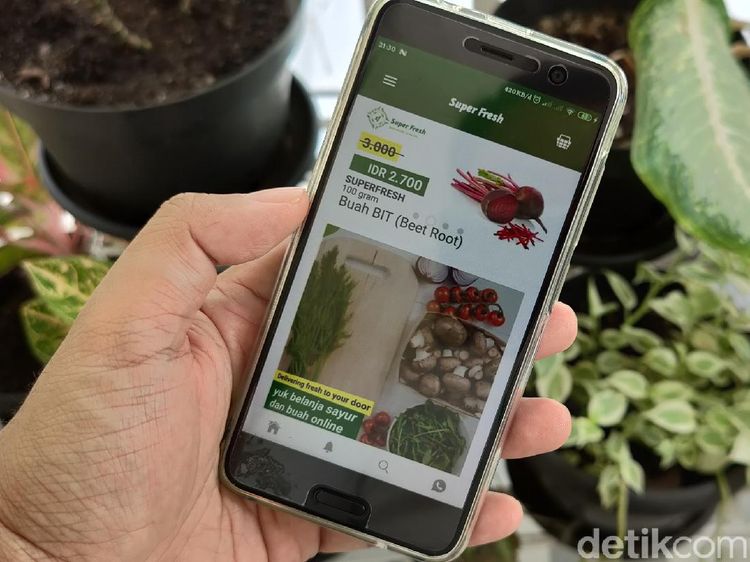 Aneka Peluang Usaha Berkebun Dibantu Teknologi Digital