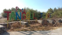Pantai Tanggul Tlare yang terletak di Desa Tanggultrale Kecamatan Kedung, Jepara. Untuk sampai di lokasi tidak jauh sekitar 15 menit dari pusat Kabupaten Jepara. Di Pantai Tanggul Tlare disambut dengan rindangnya pohon cemara. Saat di lokasi juga terdapat sejumlah gazebo. Di Pantai Tanggul Tlare terdapat tanggul yang berada di pinggir pantai.
