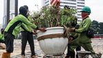 Perawatan Taman Bundaran HI