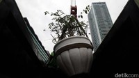 Kepala Dinas Pertamanan dan Hutan Kota DKI, Suzi Marsitawati mengatakan pengadaan tanaman adalah kebutuhan yang sangat mendesak bagi dinasnya.