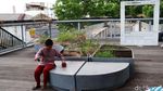 Kondisi Teras Cihampelas Bandung yang Memelas