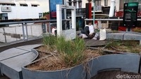 Rumput liar tumbuh di sejumlah titik Teras Cihampelas.