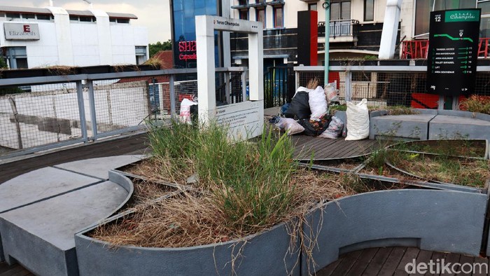 Teras Cihampelas Memperihatinkan Kondisi Teras Cihampelas Bandung sangat memperihatinkan, Sabtu (3/10/2020). Sebagian tempat ini dipenuhi sampah dan rumput liar yang sudah mengering.