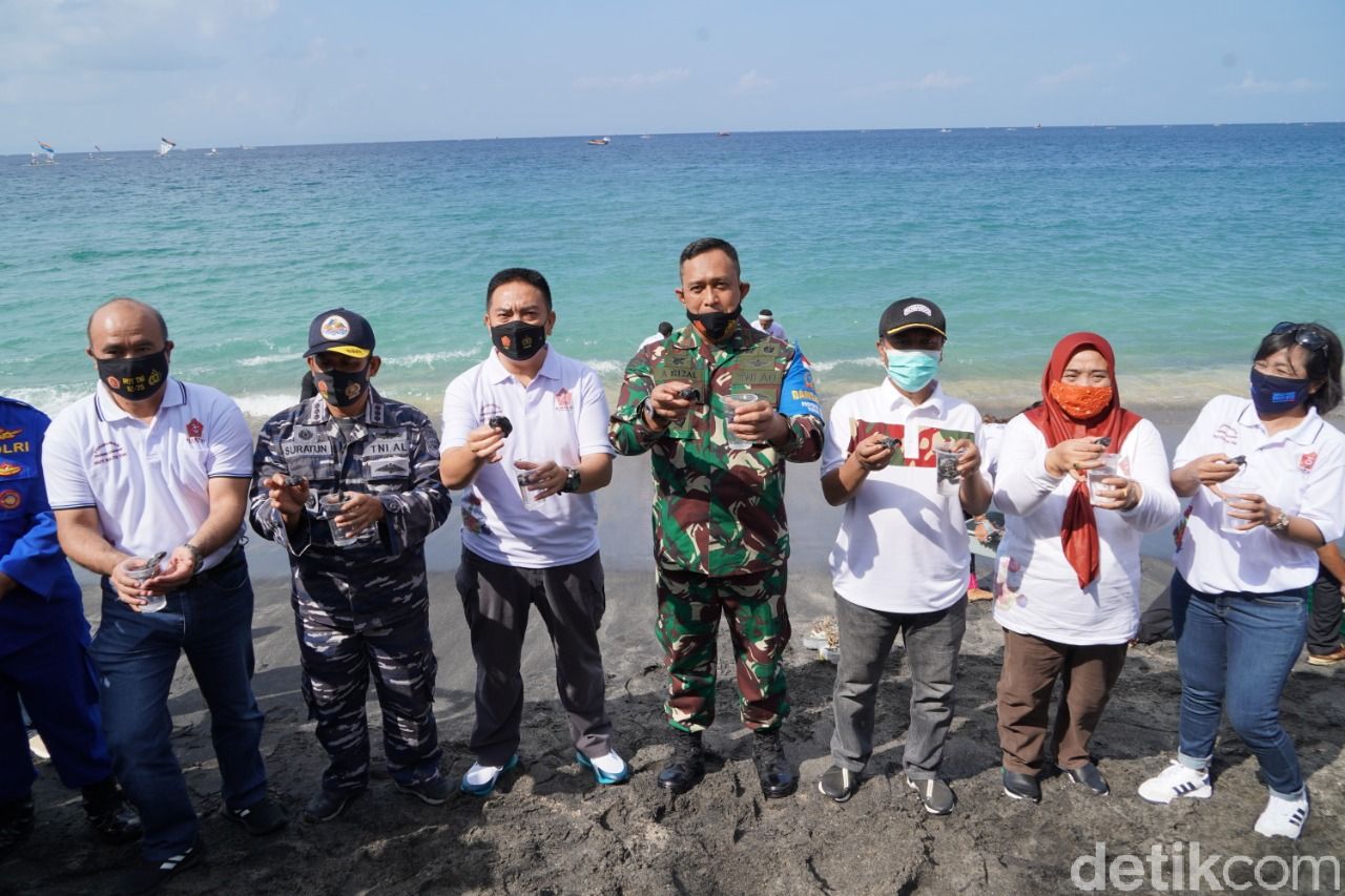 Peringati HUT ke-75, TNI menanam 750 terumbu karang dan melepas 200 ekor tukik (anak penyu) di Senggigi, Lombok. Tujuannya untuk menjaga ekosistem laut.