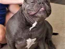 Tingkah Konyol Hewan yang Bikin Gemas