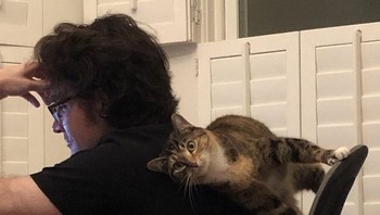 Si kucing bersandar di punggung pemiliknya. Foto: Brightside