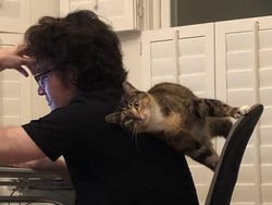 Tingkah Konyol Hewan yang Bikin Gemas