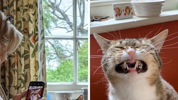 Say cheese! Foto: Brightside