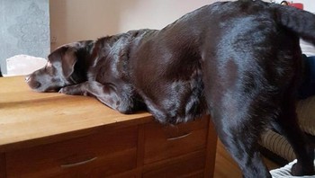 Beginilah caranya menonton TV. Foto: Brightside