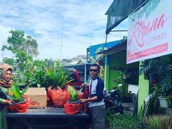 Aneka Peluang Usaha Berkebun Dibantu Teknologi Digital