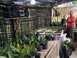 Aneka Peluang Usaha Berkebun Dibantu Teknologi Digital