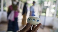 Pada periode kembang biak Agustus 2020 kemarin, terdapat 14 telur burung merak hijau. Namun 8 diantaranya gagal, 2 menetas, dan sisanya masih dalam proses penetasan dalam inkubator mesin.
