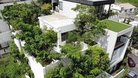 Ada lebih dari 20 spesies tanaman tumbuh di Forest House ini. Istimewa/Dezeen.