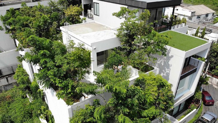 Percaya Nggak? Rumah Ini Ditanami Ratusan Pohon Sampai ke Atap Rumah ini secara keseluruhan luasnya hanya 300 meter per segi. Tapi di dalamnya ditanam ratusan pohon. Nggak percaya? cek foto-fotonya berikut.