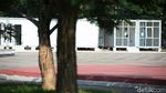 Potret Velodrome Rawamangun yang Sepi Gegara Corona