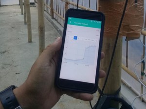 Biji Kopi Makin Enak Dibantu Teknologi IoT