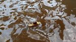 Foto: Kawasan Petogogan Masih Terendam Banjir