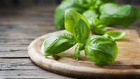 Basil organik dan fresh sering kali dimakan mentah, tapi hati-hati karena rentan terkontaminasi bakteri Salmonella dari tanah. Usahakan selalu mencuci bersih basil di bawah air mengalir sebelum memakannya. Foto: iStock