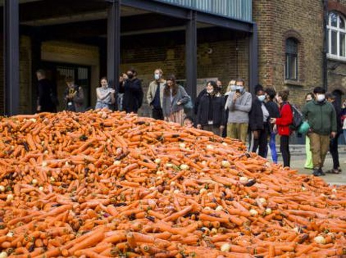 Karya Seni dari 32 ribu kilogram wortel di Inggris