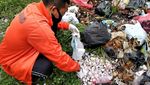Penampakan Limbah Botol Vaksin yang Dibuang Sembarangan di Cianjur