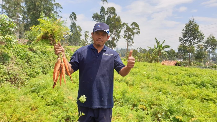 Petani binaan Pertamina