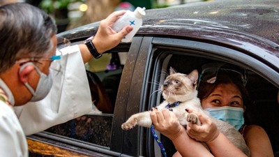 Potret Pemberkatan Hewan Peliharaan Peringati Hari Hewan Sedunia