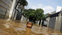 Kawasan Kemang Selatan, Jakarta, tampak masih tergenang imbas hujan deras yang mengguyur kawasan Ibu Kota pada Minggu (4/10) malam.