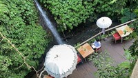 The Kayon Resort berada di dekat Sungai Petanu yang bersejarah. Selain udara sejuk, pengunjung juga bisa menikmati rindangnya suasana karena bersebelahan dengan hutan hujan Ubud (Instagram/@thekayonresort)