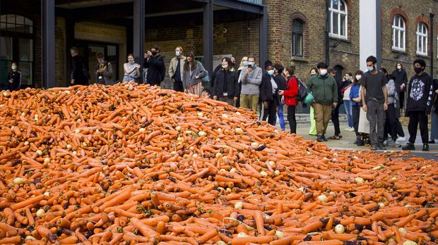 Wortel 31 ton dibuang demi karya seni Wortel 31 ton dibuang demi karya seni