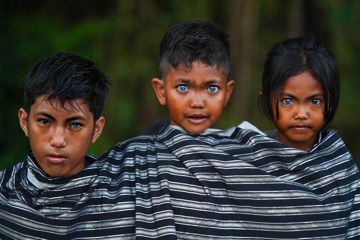 Anak-anak dari Suku Buton dan Muna, Sawal, Fardan, Ditra (dari kiri ke kanan) memiliki mata biru karena Sindrom Waardenburg
