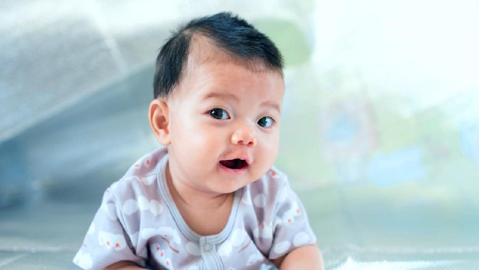 bayi laki-laki Southeast Asian new born is creeping on the floor. Newborn is wearing gray shirt. Baby is South East Asian. Kid is cute. Child is taking photo indoor. Infant is 4 months. - People, Health care concept