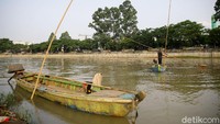 Ramainya jual-beli ikan hias membuat para pemburu cacing sutra meraup untung. 