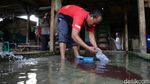Berkah Kampung Cacing di Tengah Pandemi