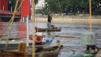 Para pemburu cacing ini menggunakan peralatan sederhana untuk memanen cacing.